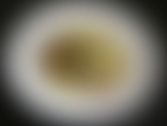 Fettuccine com abobrinha frita