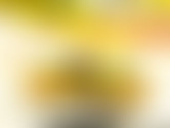 Miojo com camarões, aspargos e cogumelo erinji