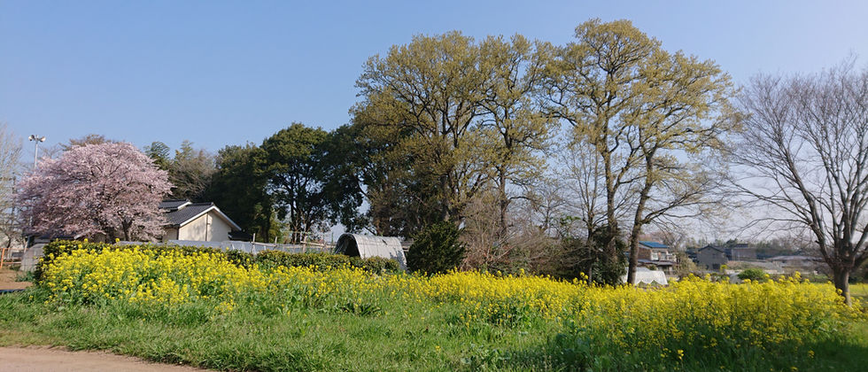 DSC_2481.JPG
