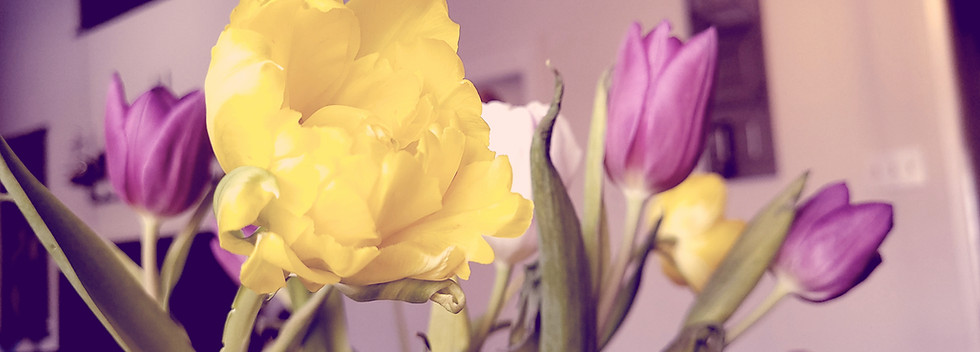 flowers-in-vase_edited.jpg