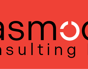Pasmodo Consulting Inc. Logo Design