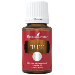Tea Tree- $30