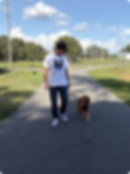 Golden Retriever in the Heel Command (Not Pulling)