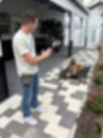 Belgian Malinois staying