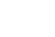 white_sun.png