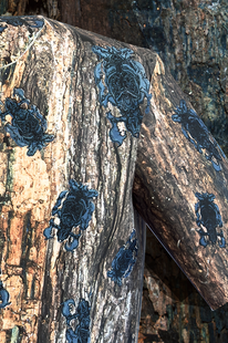 Screenprinted Photo paper sculpture.