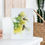 Thumbnail: Daisy and the Bees, Greeting Card