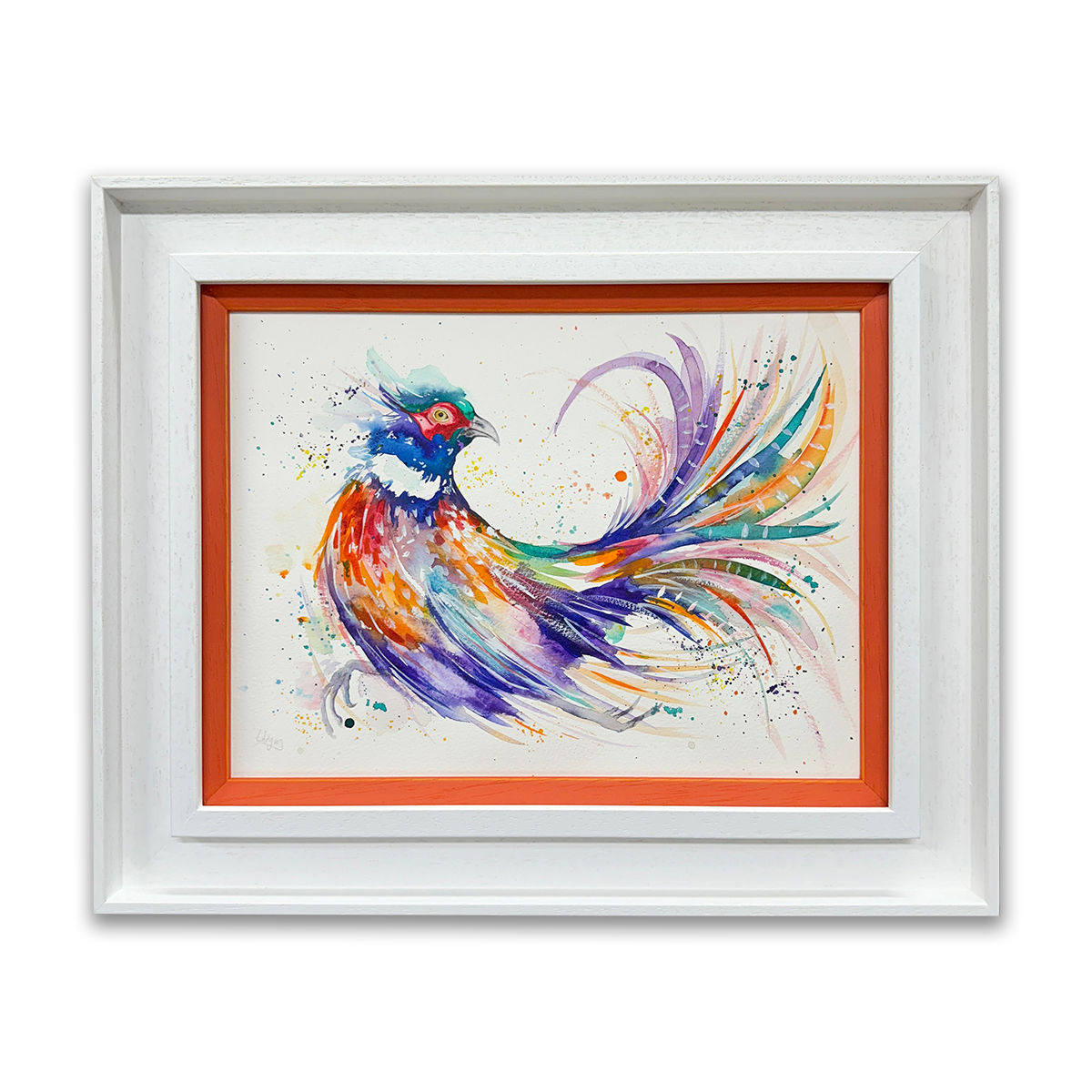 Colour Dash, Framed original watercolour pheasant