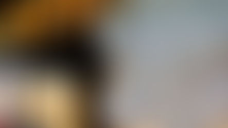 Bottles of French red wine are displayed at the Chateau du Pavillon in Sainte-Croix-Du-Mont, France.jpg