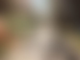 E-biker's eye view of a biking trail