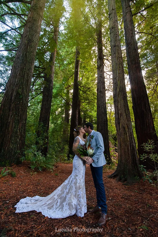 Favourite Outdoor Wairarapa Wedding Venues