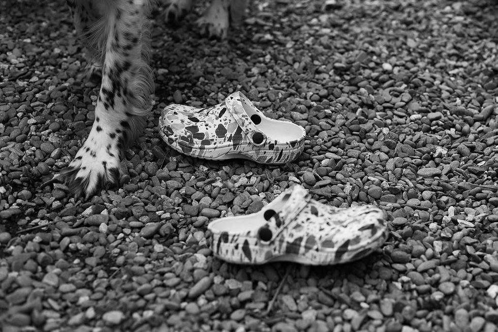pair of dirty crocs on gravel with dog paws