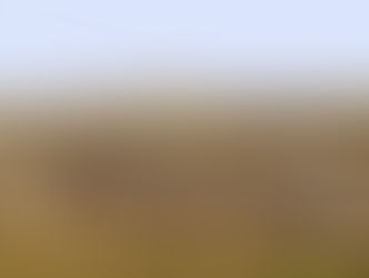 Şalt Sahası ve Topraklama Teknikleri