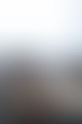 Building a daily ritual of order