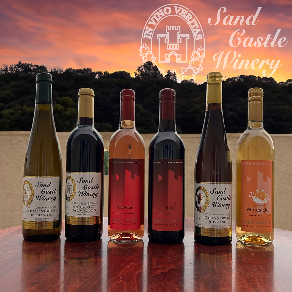 Winery SAND CASTLE WINERY Wedding Venue Pennsylvania