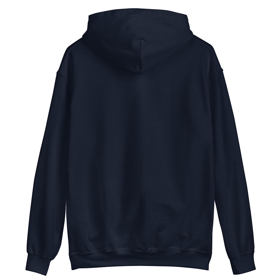Thumbnail: Dream Big Unisex Hoodie Black or Navy
