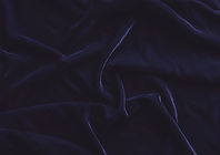 Texture 2.png