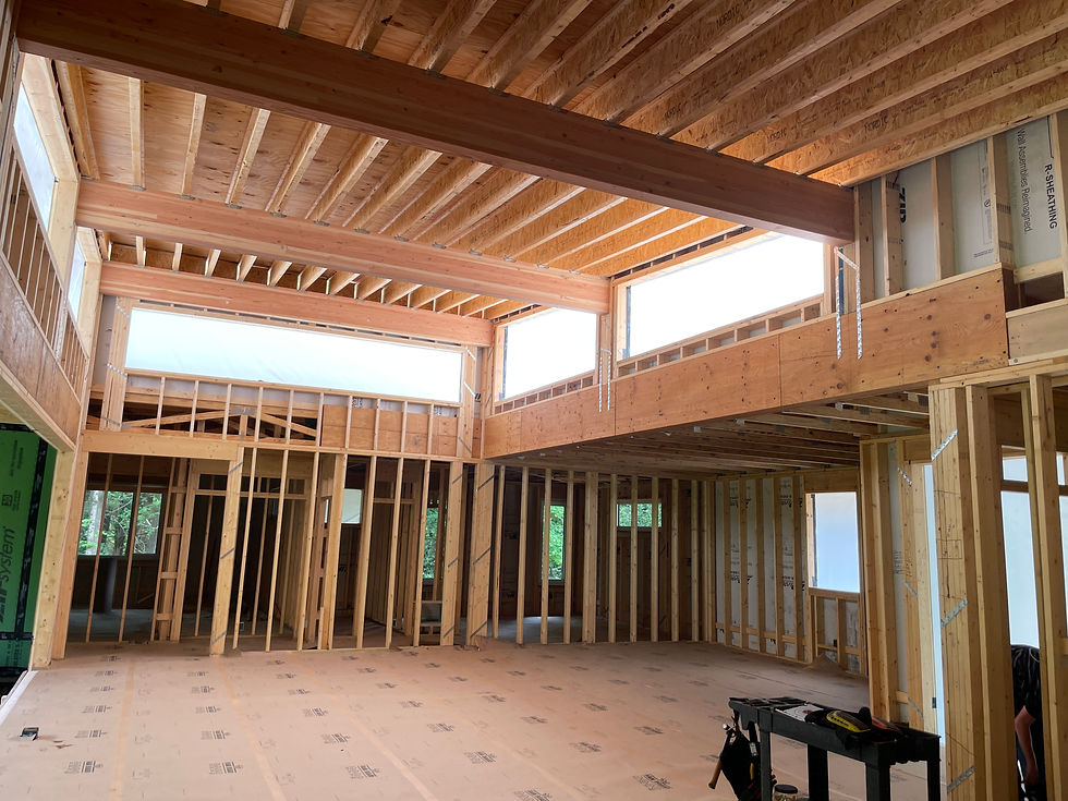 The lofty butterfly roof being framed