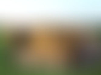 Minor League Division 1 Champions