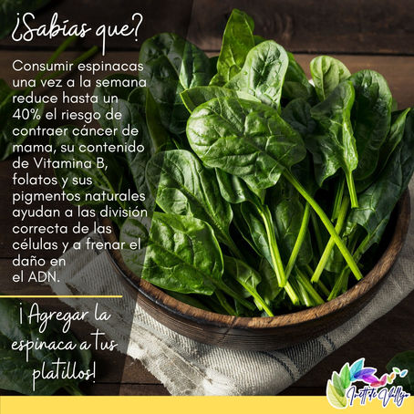 Sabias los beneficios de la espinaca ?