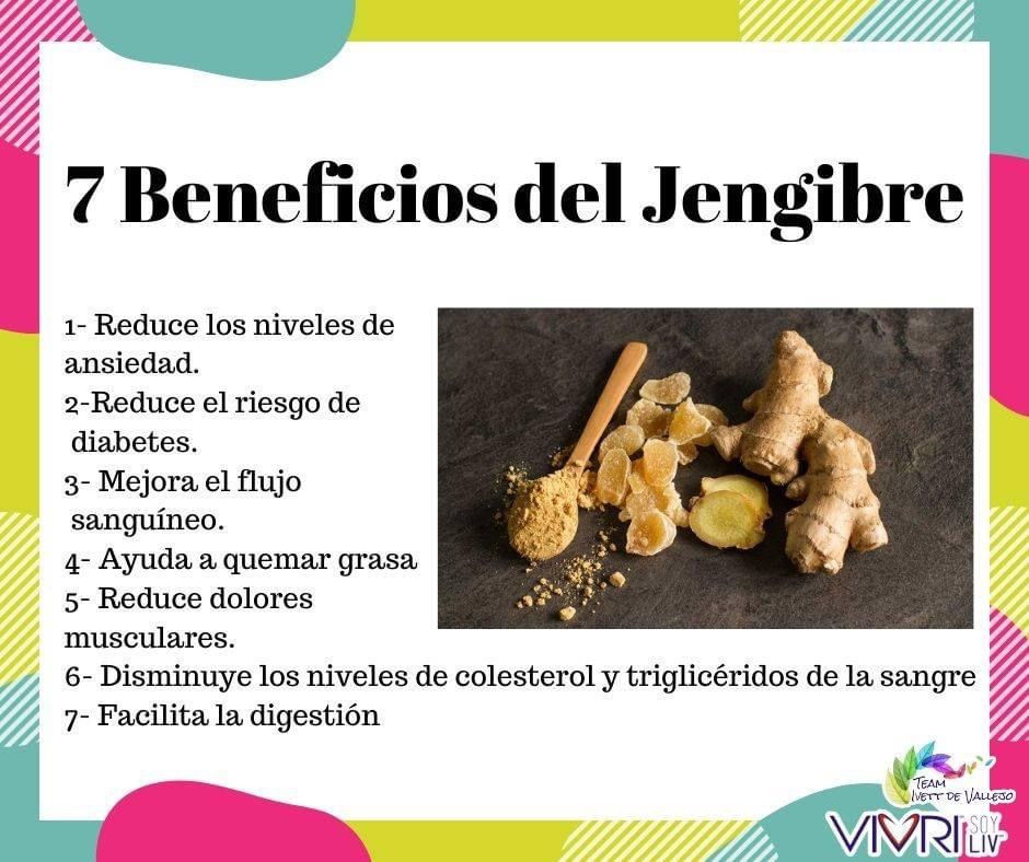 BENEFICIOS DEL JENGIBRE: