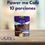 Miniatura: Power me 10 porciones