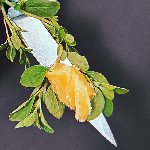 KILLER SKIN _TEASER _ v1_edited_edited.jpg