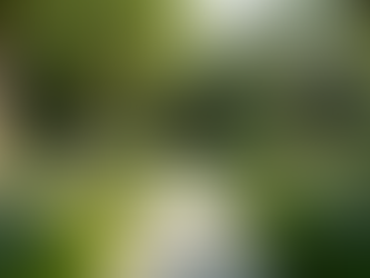 Transform Your Outdoor Space with Unique Landscape Designs