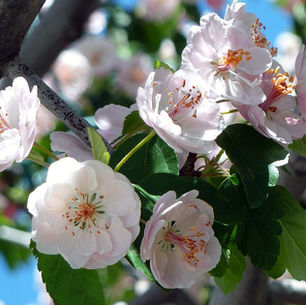 Đời Sống Tấn Tới