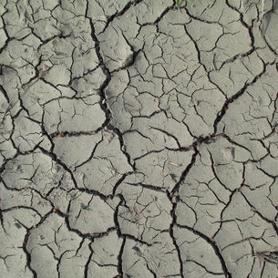 Còn Thuộc Về Xác Thịt