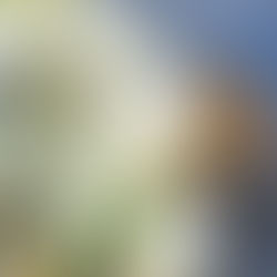 Để Không Bị Xét Đoán