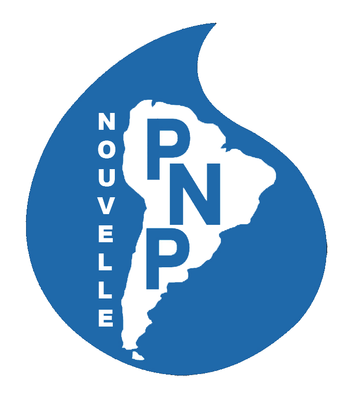 Logo_NPNP4.gif