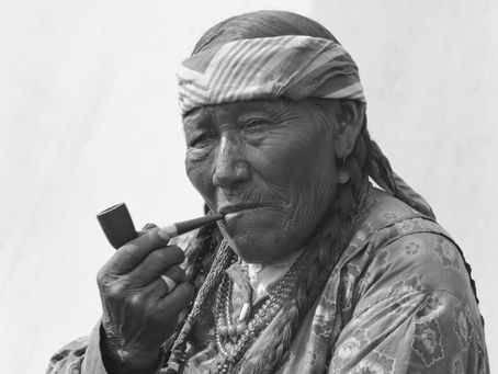 The DNA & Census Truth: Separating 1790 Census Facts From the "Black Indian" Trend