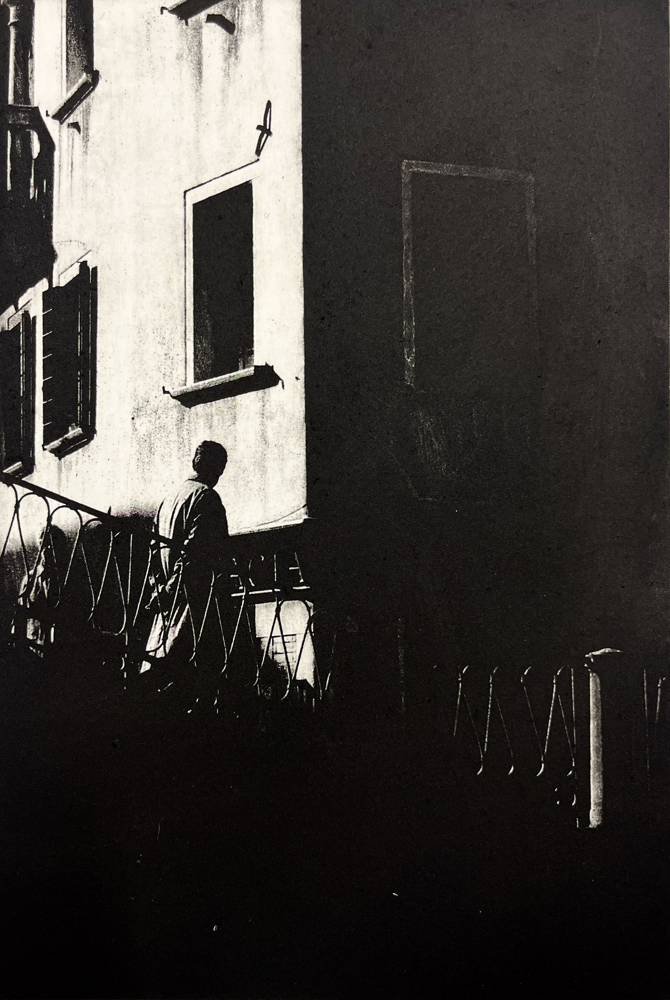 Teresa Schippel Hales - Ponte