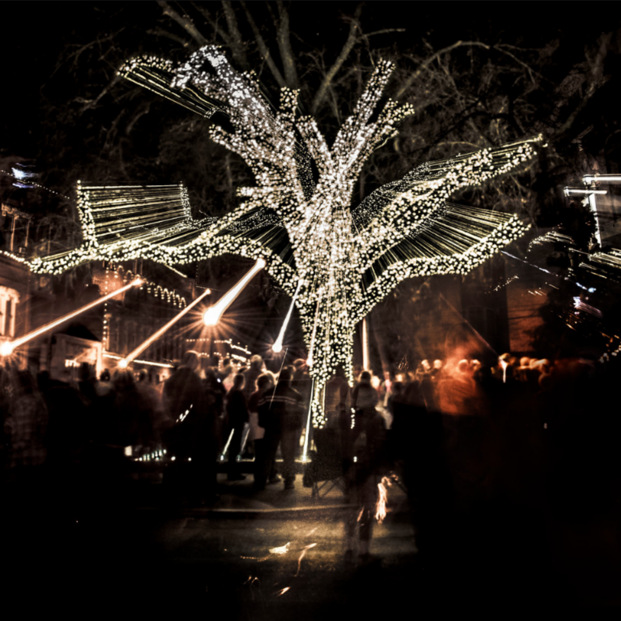 TREE SQUARE