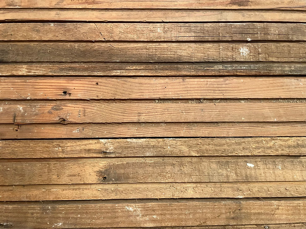 IMG_7041.jpeg