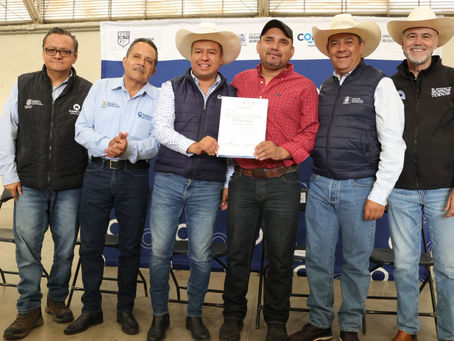 Entrega SEDEA alimento concentrado para ganado en Huimilpan