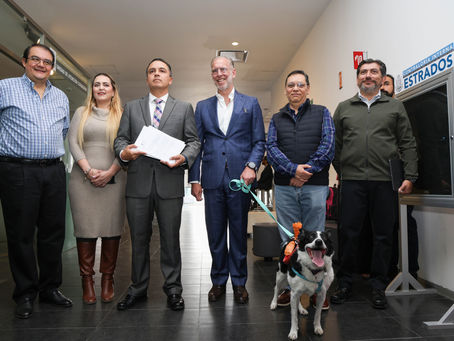 Poder Ejecutivo ingresa iniciativa de ley de Bienestar Animal al Congreso del Estado