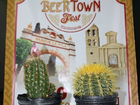 Anuncian en Tequisquiapan el Beer Town Fest y la Cuarta Expo Cactus y Suculentas 2025