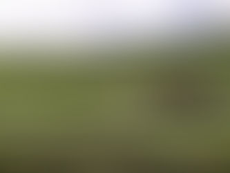 Puerta del Lobo celebra su décima vendimia