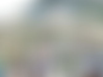 海園向支援不足社群派免費票　每年3000個名額