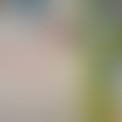 St Valentines Day at Active Language Learning