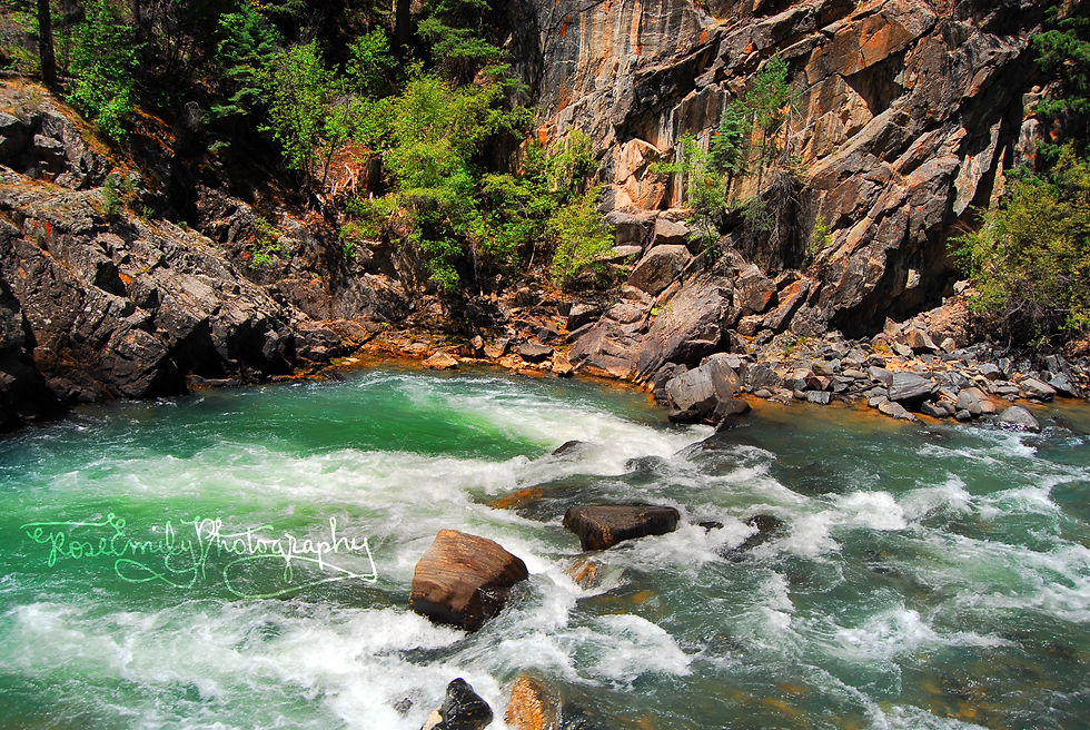 RosEmily Photography