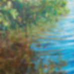 Pond's Edge 129, Caladesi Mangroves