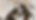 baboons_play_edited_edited_edited.png