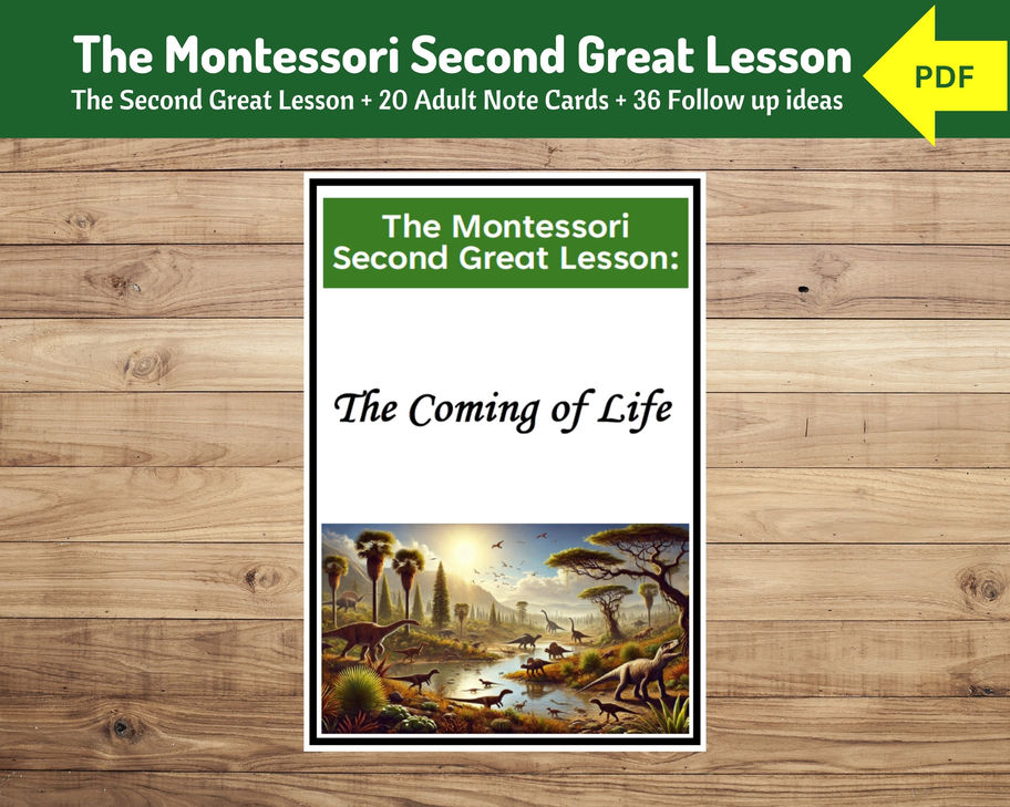 Montessori Great Lesson Coming of Life