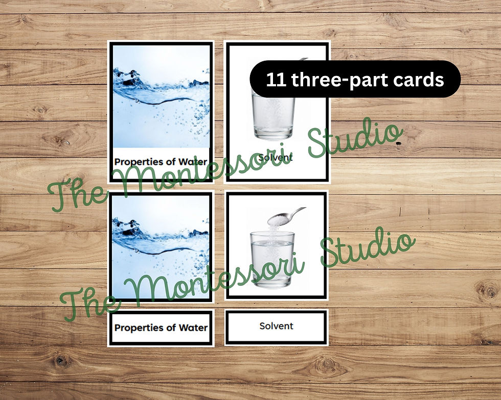 Properties of Water Cards