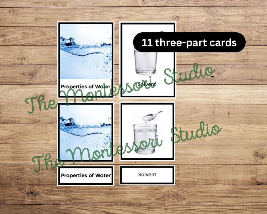 Properties of Water Cards