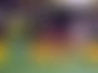 Westminster Best in Show Winners 2004 to 2026