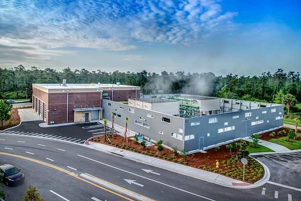 UCF plant.jpg